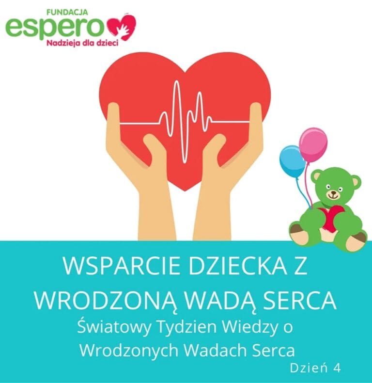 zdj16