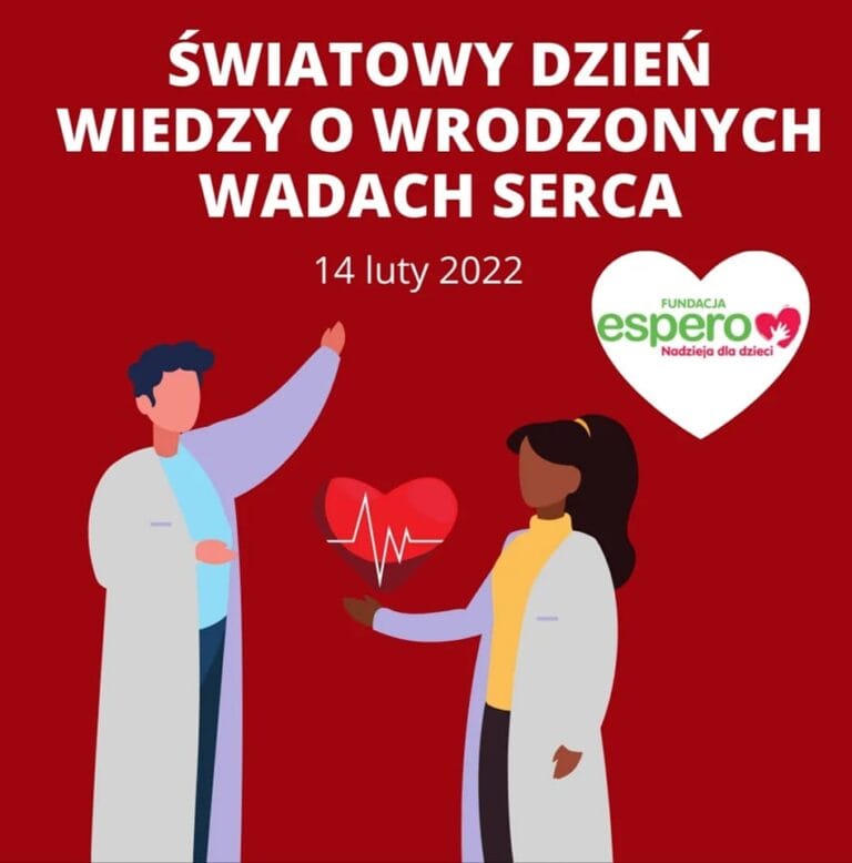 zdj19