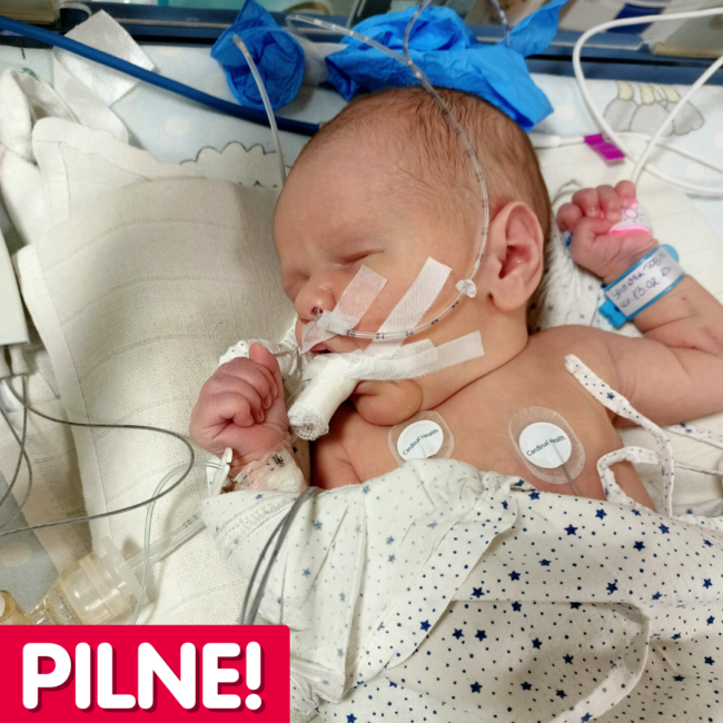 Kopia Jan Guzik PILNE (2)