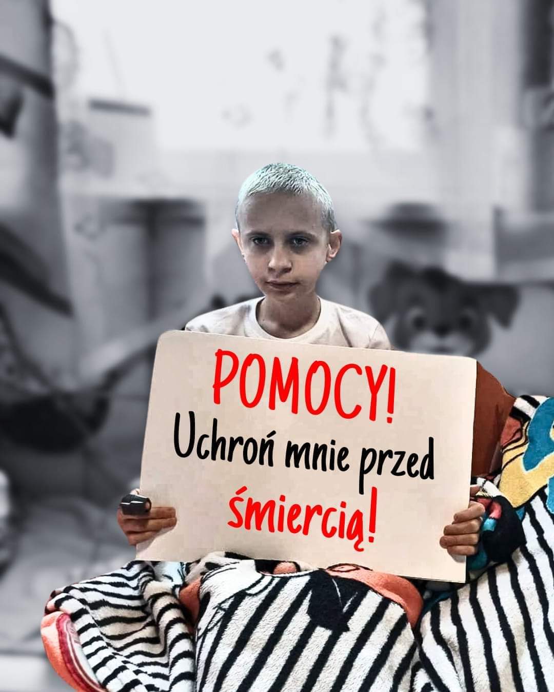 f32d5427-7f9f-49c6-bf76-893c8ea85371-1_all_32223