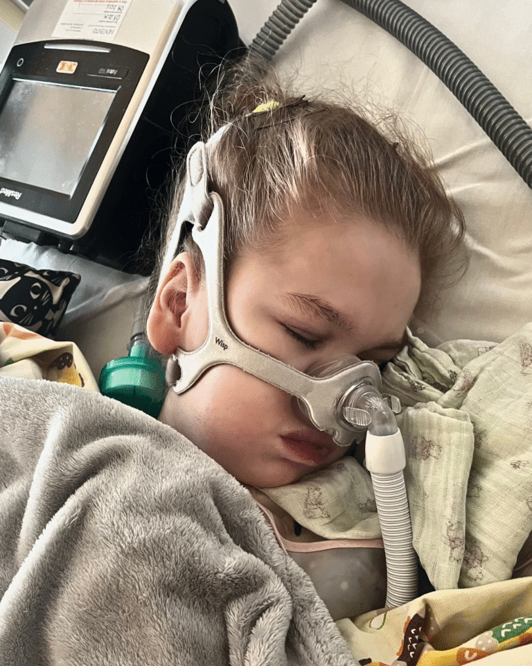 Vasilisa_aktualizacja